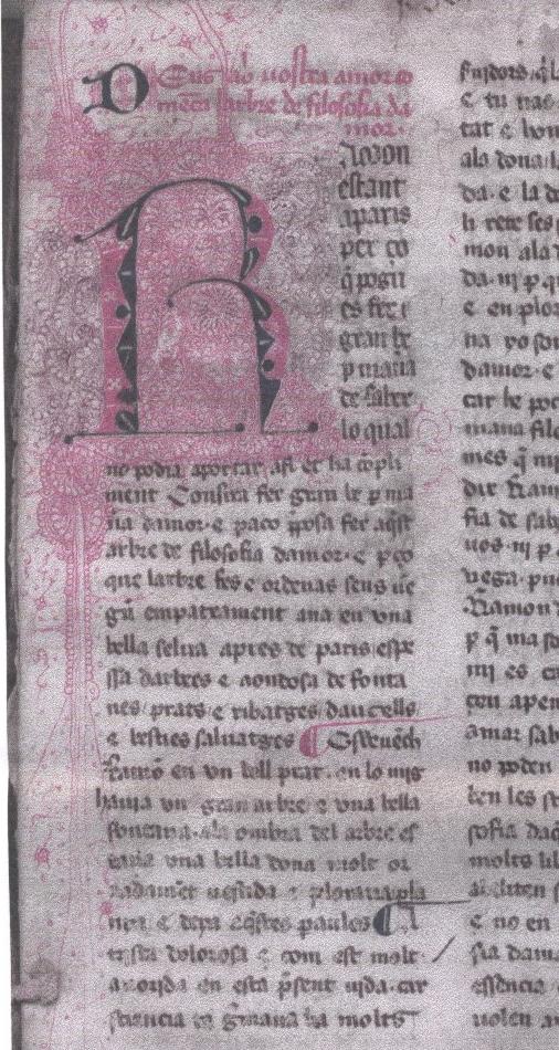 5- SAL 4, f. 2r.JPG